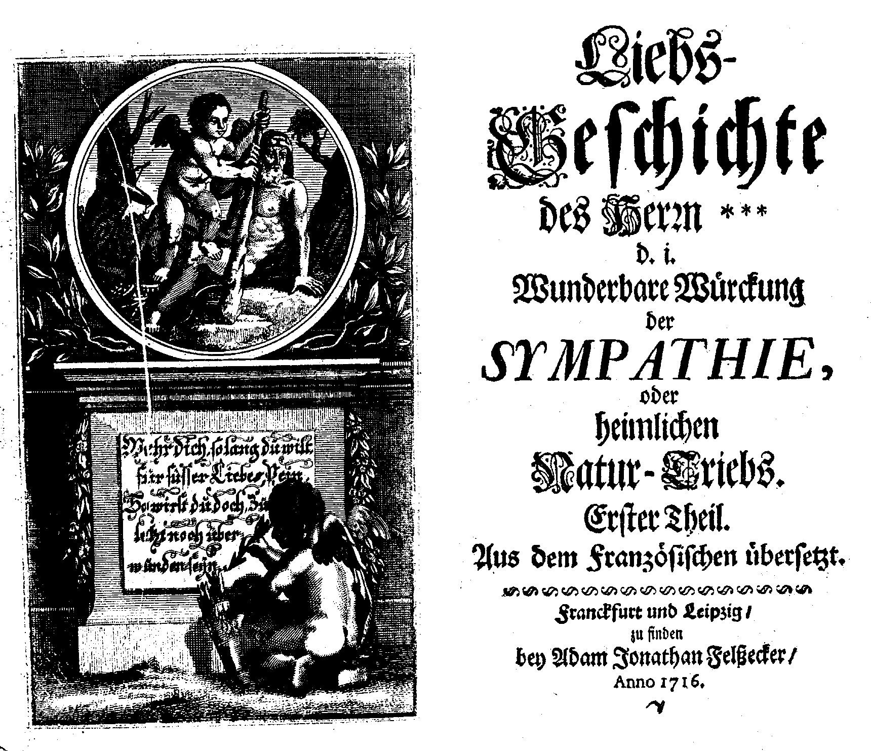 Liebs-Geschichte des Herrn  [...] erster Theil (Franckfurt/ Leipzig: A. J. Felßecker, 1716).